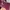 GAMIS LEBARAN SHIMMER SILK PREMIUM WANITA WARNA MAROON photo 3