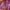 GAMIS LEBARAN SHIMMER SILK PREMIUM WANITA WARNA MAROON photo 4