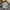 SWEAT BAGGY PANTS LOOSE FIT photo 5