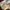 Levi's Vintage Y2K Mom jeans Wanita burgundy brown photo 5