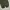 Vintage Y2K Sweatpants & Joggers Pria green photo 4