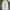 SWEAT BAGGY PANTS LOOSE FIT photo 2