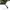 Vintage Germany Police Sunglasses *Semua foto photo 4