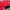Streetwear Sportswear Track jacket Wanita red photo 6