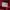 Streetwear Sportswear Track jacket Wanita red photo 8