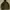 Gorpcore Sportswear Windbreaker Pria green photo 1