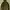 Gorpcore Sportswear Windbreaker Pria green photo 5