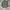 Polo Ralph Lauren Casual Sweater Pria gray photo 1