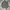 Polo Ralph Lauren Casual Sweater Pria Gray