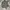 Polo Ralph Lauren Casual Sweater Pria gray photo 4