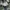 Uniqlo Streetwear Sportswear Casual shirt Pria green white photo 6