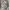 Korean Outer crop  photo 1