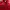 Adidas Sportswear Casual Casual shirt Pria red photo 3