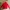 Adidas Sportswear Casual Casual Shirt Pria Red
