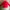 Adidas Sportswear Casual Casual shirt Pria red photo 4