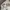 Covernat Casual Hat Pria white photo 6