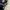 Streetwear Skater Dungaree Pria navy black photo 7