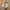 On Running Casual Sneakers Wanita cream tan photo 6