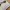 On Running Casual Sneakers Wanita cream tan photo 3