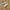 On Running Casual Sneakers Wanita cream tan photo 1