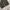 Streetwear Skater Jeans Pria gray photo 5