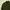 Streetwear Casual Fleece Pria green photo 3