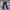 Deus Ex Machina Casual Formal Pants Pria Navy