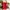 Casual Nightgown Wanita black red photo 2