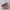 Adidas Streetwear Casual Sneakers Pria white photo 3