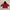 Hugo Boss Outerwear Kids red photo 1