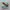 Adidas Streetwear Casual Sneakers Pria green photo 3