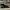 GUCCI GENUINE GREG OSTRICH SKIN HIGH CUT SNEAKERS , GUCCI GE photo 3