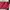 Crumpler Streetwear Sportswear Bag Pria Pink