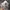Penfield Streetwear Casual Hat Pria cream photo 2