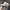 Penfield Streetwear Casual Hat Pria cream photo 5