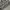 Baggy jeans typography fullprint wideleg by  photo 7