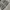 Baggy Jeans Typography Fullprint Wideleg By 