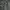 Camo tiger strip cargo pant photo 7