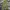 Carhartt Streetwear Casual Casual pants Pria multicolor photo 4