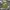 Carhartt Streetwear Casual Casual pants Pria multicolor photo 2