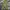 Carhartt Streetwear Casual Casual pants Pria multicolor photo 5