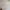 Ben Davis Casual Sweater Pria white photo 5