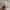 Ben Davis Casual Sweater Pria white photo 3
