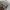 Carhartt Casual Sweater Pria gray photo 4