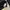 Adidas Sportswear Casual Sweatshirt Pria black photo 5