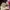 Coach Madison Multi Color Shoulder/Hand bag photo 6