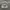 Realtree Streetwear Luxury Hat Pria cream photo 2