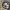 Realtree Streetwear Luxury Hat Pria cream photo 4