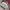 Nachukara baggy ballon pants photo 6