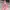 Biker Stroller Kids multicolor photo 6